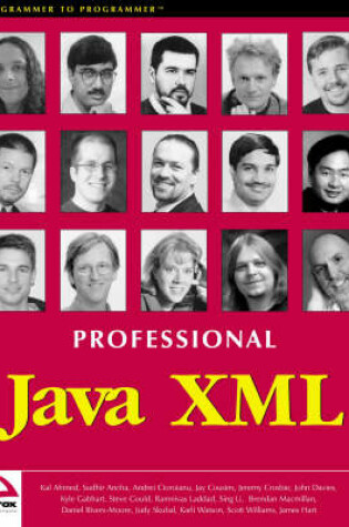 Cover of Professional Java XML