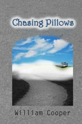 Cover of Chasing Pillows