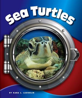 Book cover for Sea Turtles