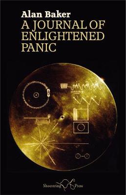Book cover for A Journal of Enlightened Panic