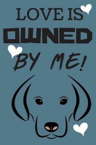 Cover of Love Is Owned By Me