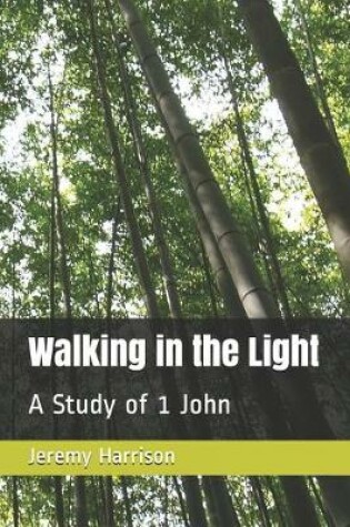 Cover of Walking in the Light