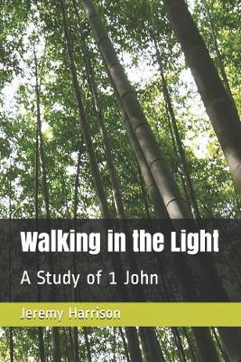 Book cover for Walking in the Light