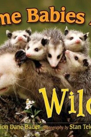 Cover of Some Babies Are Wild