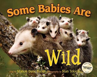 Book cover for Some Babies Are Wild