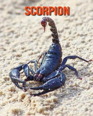 Book cover for Scorpion