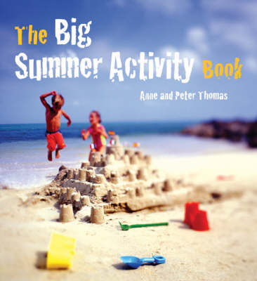 Book cover for The Big Summer Activity Book