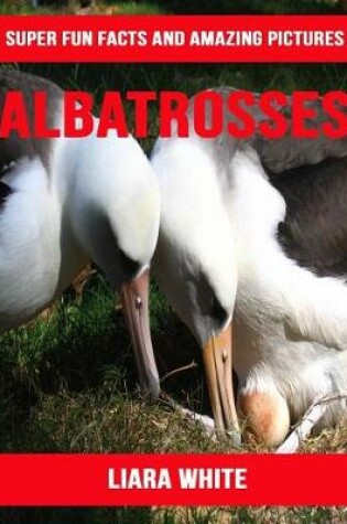 Cover of Albatrosses