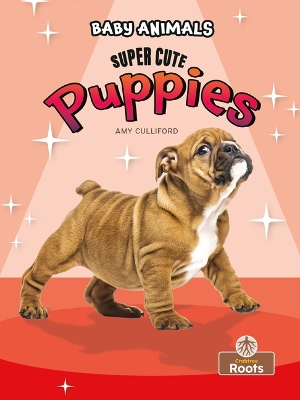Book cover for Super Cute Puppies