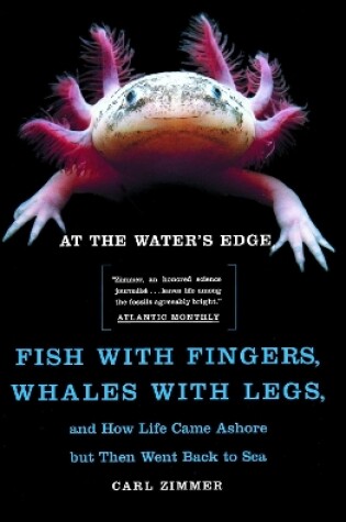 Cover of At the Water's Edge