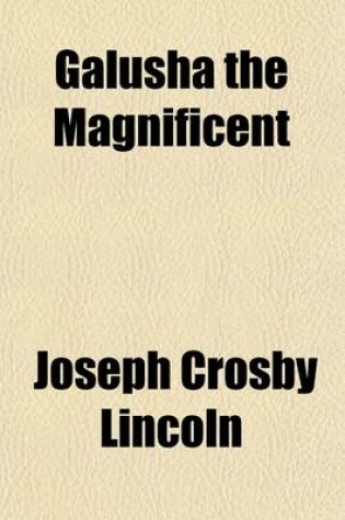 Cover of Galusha the Magnificient [!]; A Novel