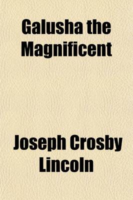 Book cover for Galusha the Magnificient [!]; A Novel