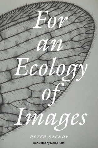 Cover of For an Ecology of Images