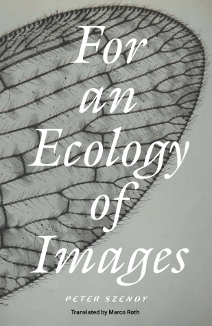 Book cover for For an Ecology of Images