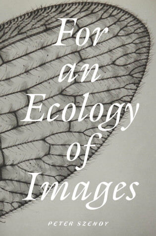 Cover of For an Ecology of Images