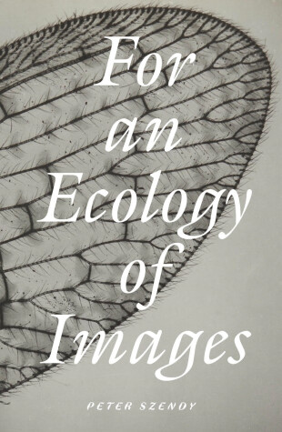 Book cover for For an Ecology of Images