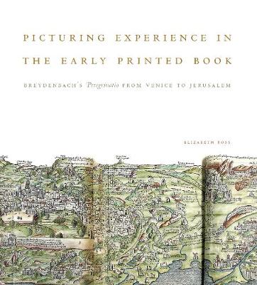 Cover of Picturing Experience in the Early Printed Book