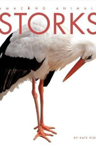 Cover of Amazing Animals: Storks