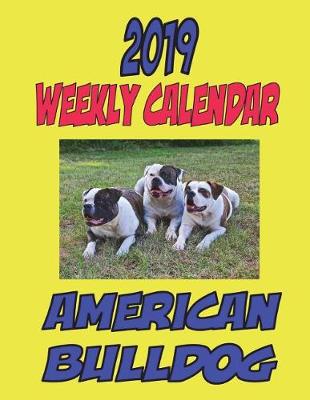 Book cover for 2019 Weekly Calendar American Bulldog