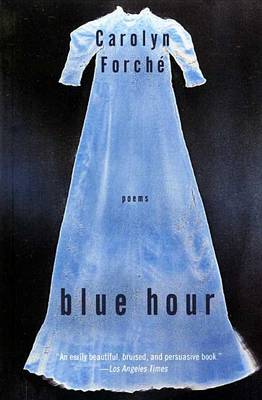 Book cover for Blue Hour