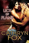 Book cover for A Lick of Flame