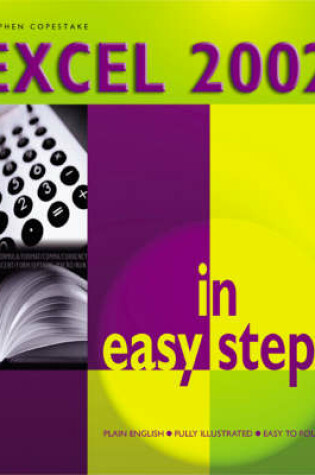 Cover of Excel 2002 in Easy Steps