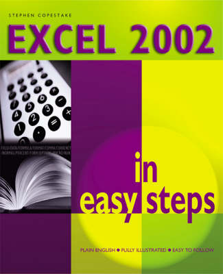 Book cover for Excel 2002 in Easy Steps