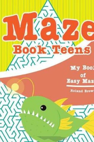Cover of Maze book teens