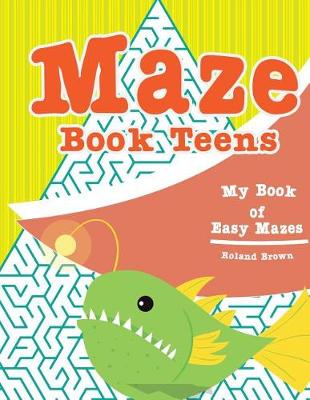 Book cover for Maze book teens