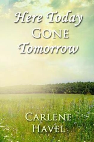 Cover of Here Today Gone Tomorrow