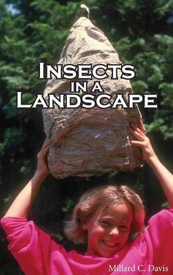 Cover of Insects In A Landscape