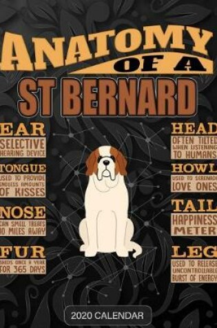 Cover of Anatomy Of A St Bernard