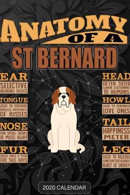 Book cover for Anatomy Of A St Bernard