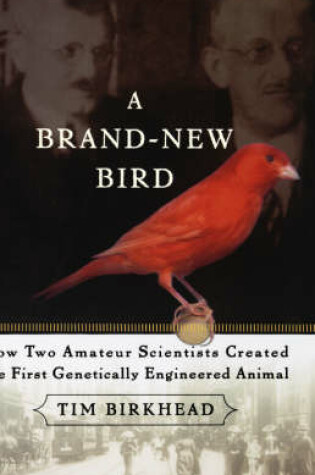 Cover of A Brand New Bird