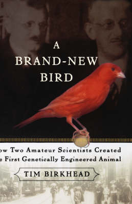 Book cover for A Brand New Bird