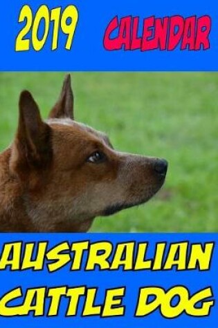 Cover of 2019 Calendar Australian Cattle Dog