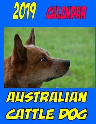 Book cover for 2019 Calendar Australian Cattle Dog