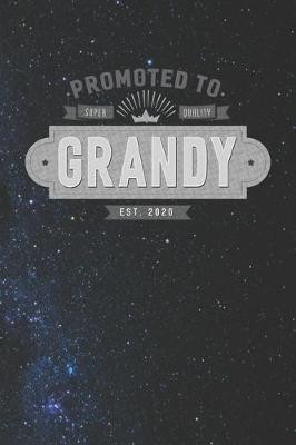 Book cover for Promoted To Super Quality Grandy Est. 2020