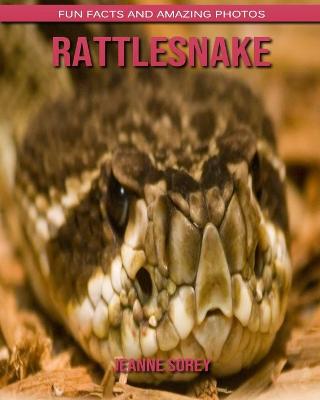 Book cover for Rattlesnake