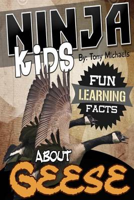 Book cover for Fun Learning Facts about Geese