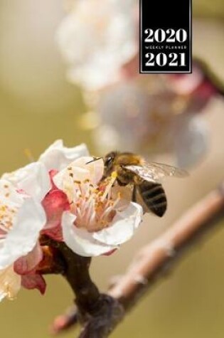 Cover of Bee Insects Beekeeping Beekeeper Week Planner Weekly Organizer Calendar 2020 / 2021 - Explore Cherry Blossom