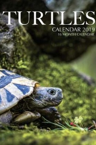 Cover of Turtles Calendar 2019