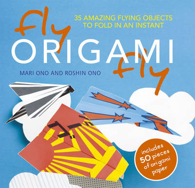 Book cover for Fly Origami Fly!