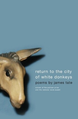 Cover of Return To The City Of White Donkeys