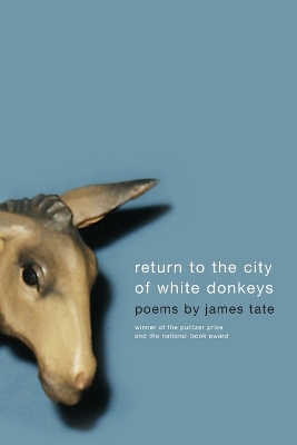 Book cover for Return To The City Of White Donkeys