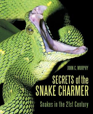 Book cover for Secrets of the Snake Charmer