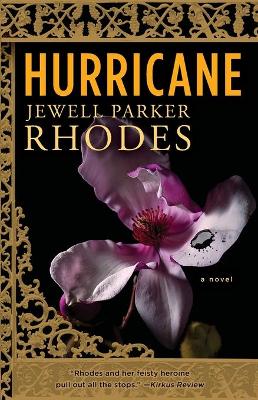 Book cover for Hurricane