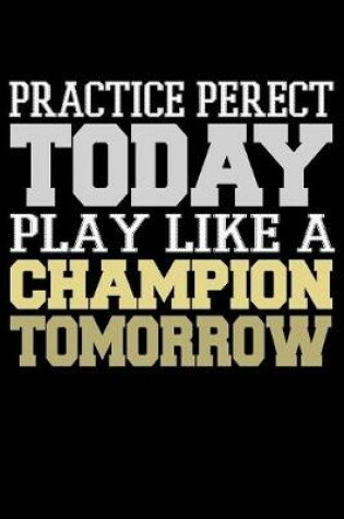 Cover of Practice Perfect Today Play Like A Champion Tomorrow