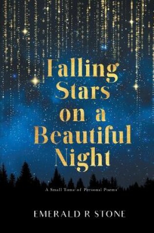 Cover of Falling Stars on a Beautiful Night
