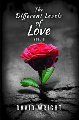 Book cover for The Different Levels of Love, Volume 2